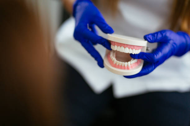  Delphos, OH Holistic Dental Care Services Pros