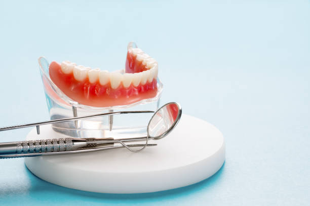 Professional Holistic Dental Care Services in Delphos, OH